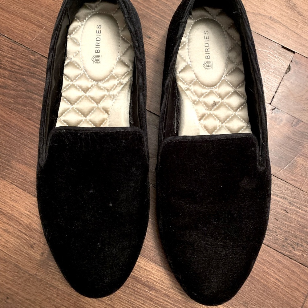 Birdies starling black velvet.